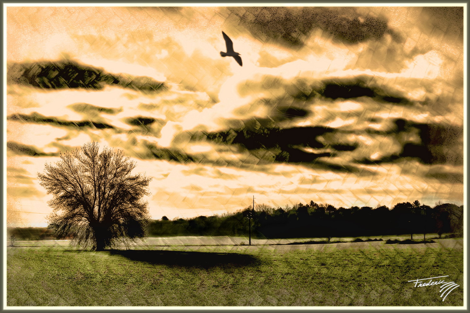 Petits efectes de photoshop